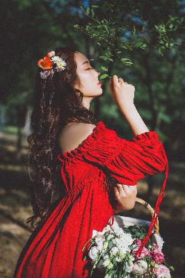 永夜星河电视剧免费高清版