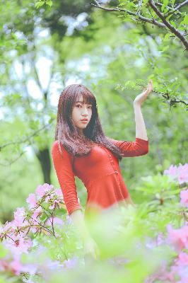 凡人修仙传电视剧在线观看